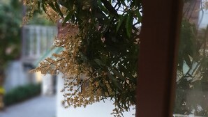 A view through a window with a white lattice fence, a balcony railing, and a glimpse of a street with greenery and a building in the background. - Hug Khieng Khong Nongkhai Hostel (Nong Khai)