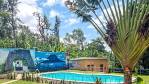 A swimming pool surrounded by lush greenery, a mural depicting a volcano, and a small building with a sign.
