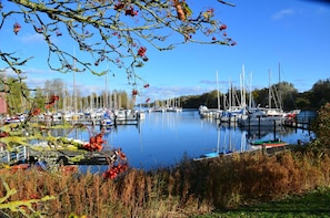 A marina with boats docked, surrounded by trees and vegetation.