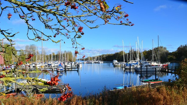 A marina with multiple boats docked, surrounded by trees and vegetation. - House Wattkieker, Germany (Wangerland)