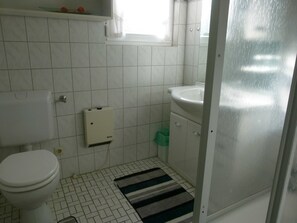 Shower, hair dryer