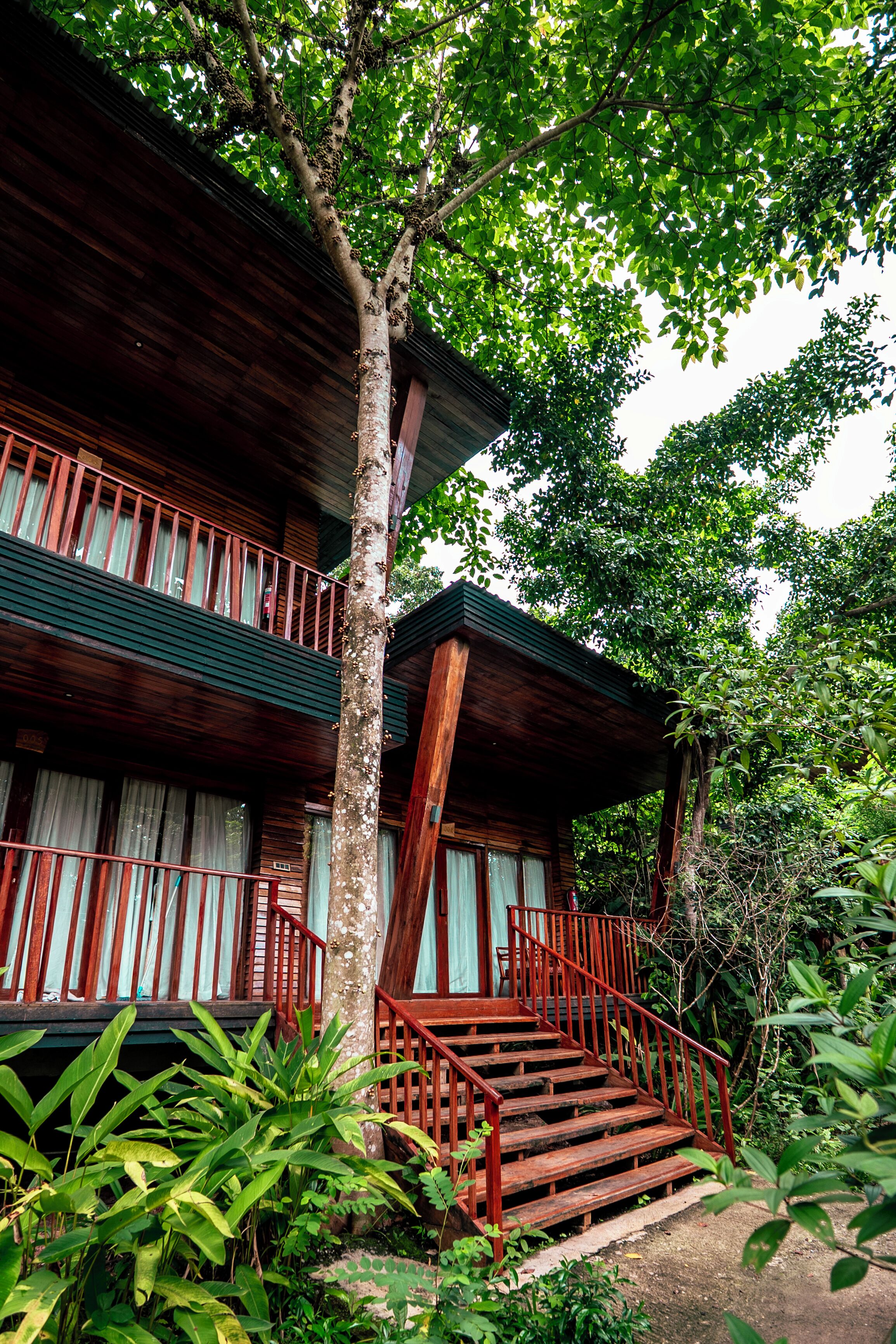 A wooden building with a balcony, surrounded by lush greenery.