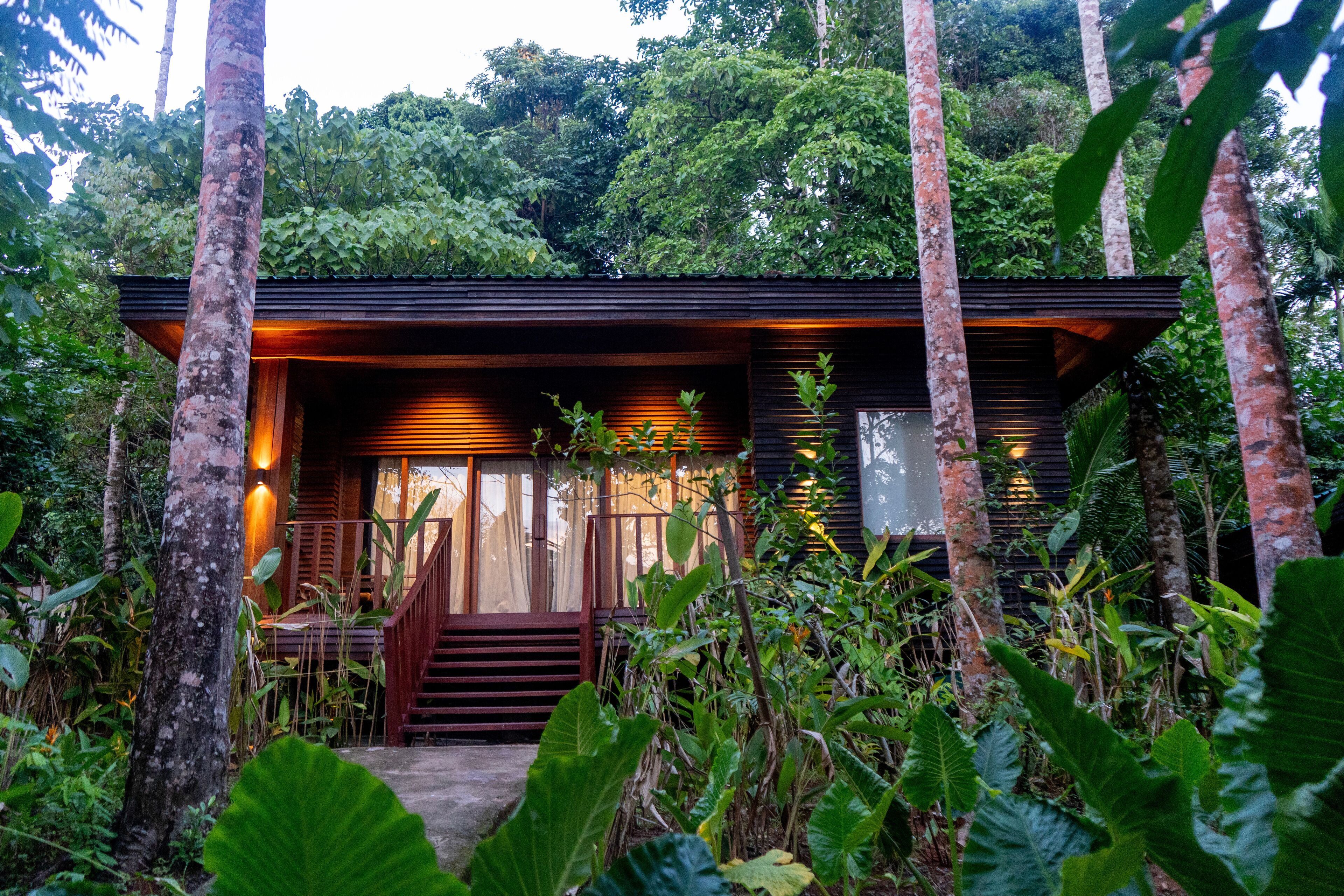 Une cabane en bois avec un escalier menant à l’entrée, entourée d’une végétation tropicale luxuriante.