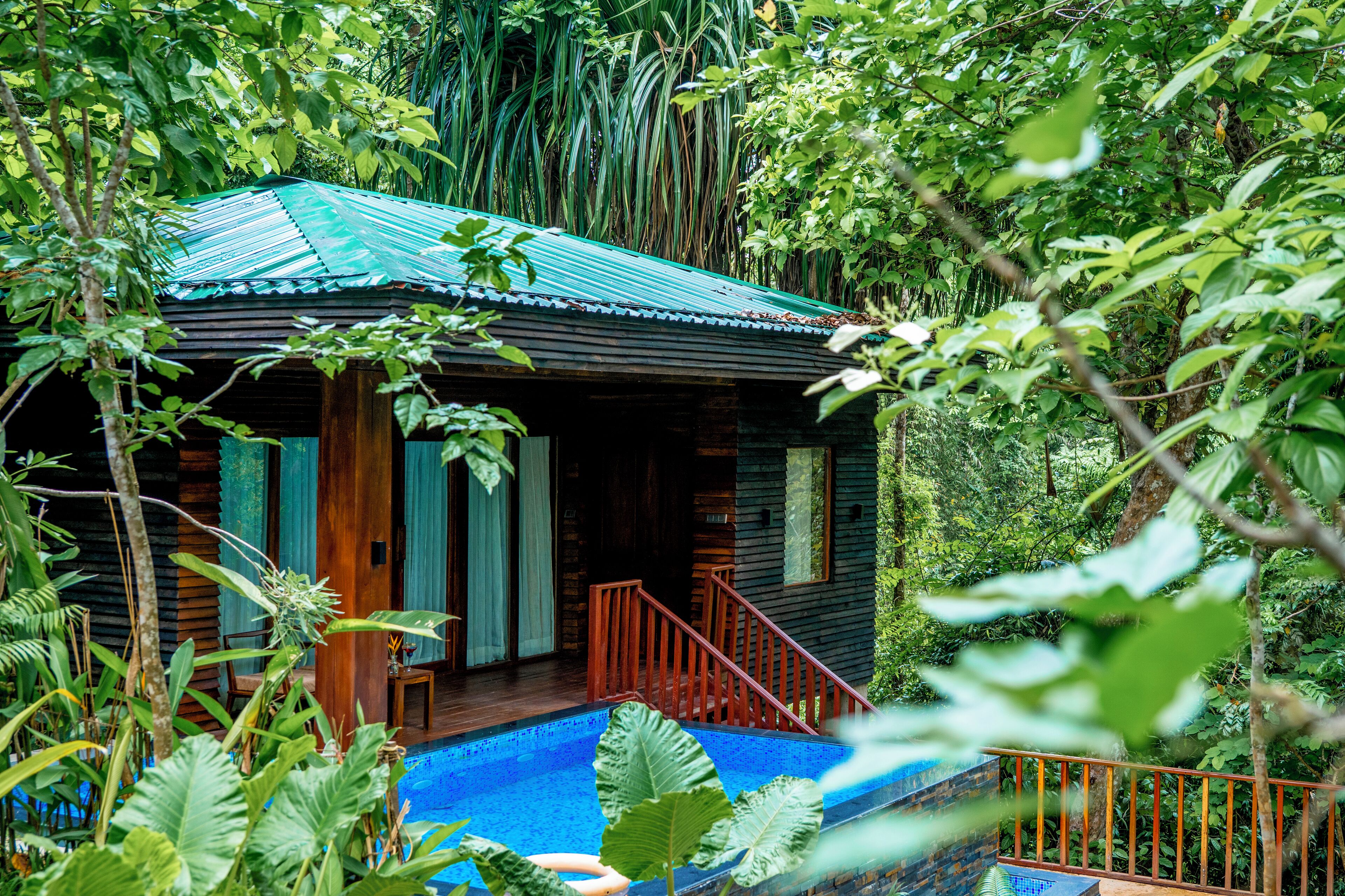A wooden cabin with a blue roof, surrounded by lush greenery and a swimming pool.