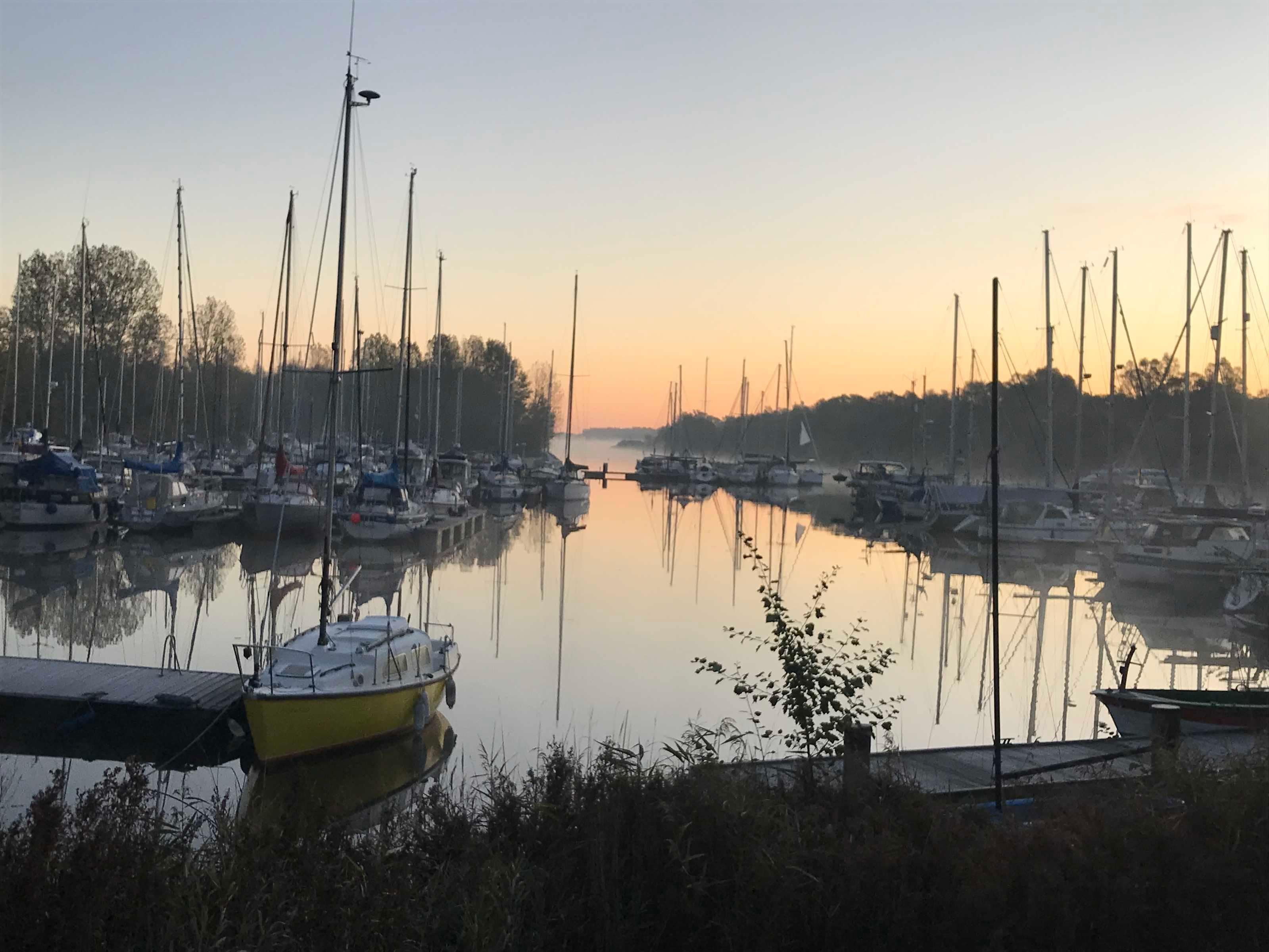A marina with boats docked, calm water, and a clear sky.