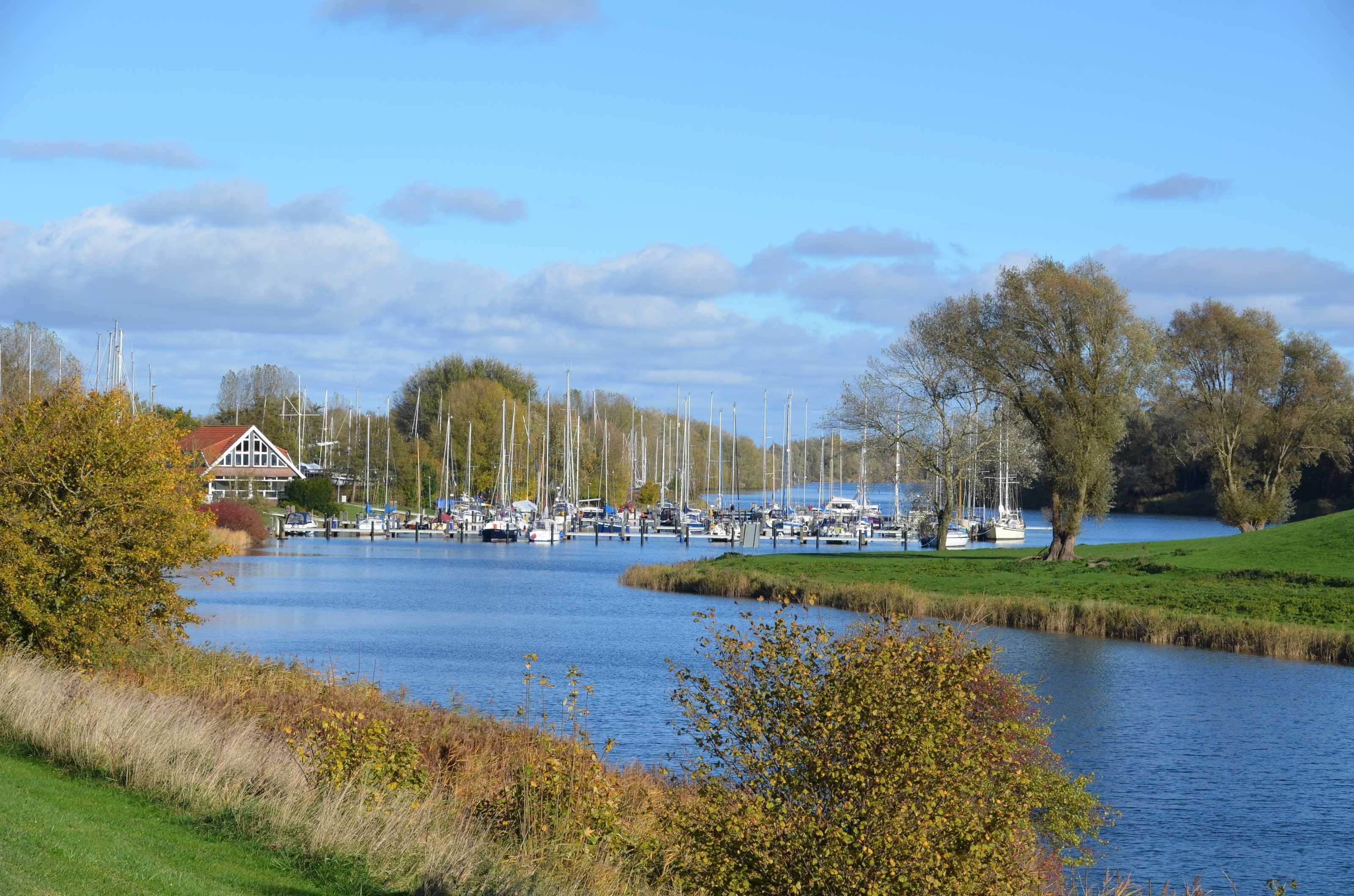 Marina