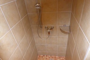 Shower, hair dryer, soap, toilet paper