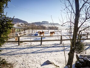 Unclassified image, 3 of 28, button