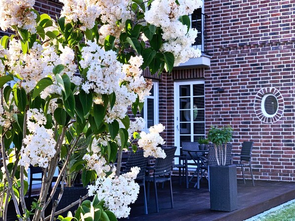 Outdoor dining - FW Backbord Peildeck (Wustrow)