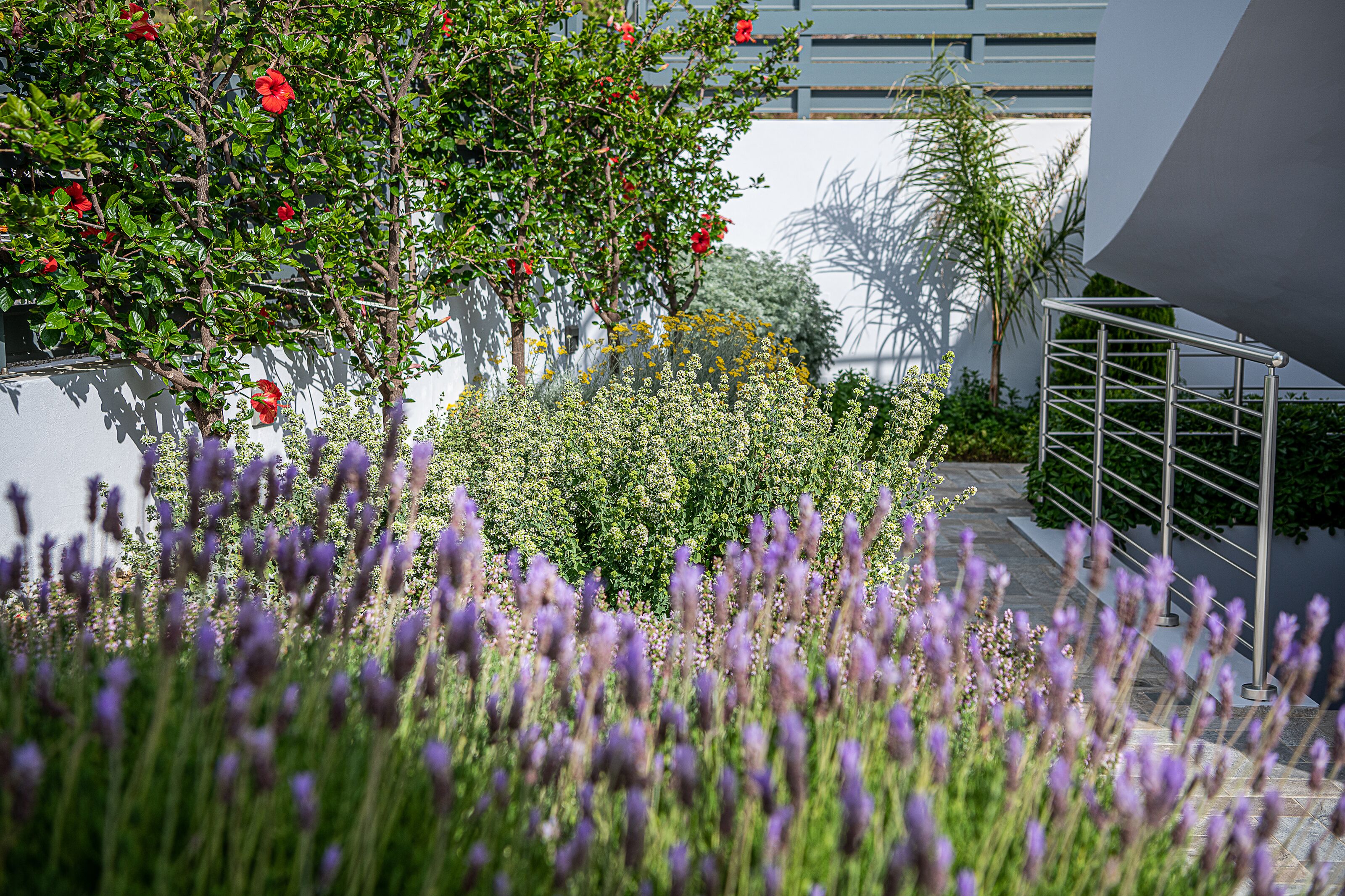 A modern building with a staircase and a garden with lavender and red flowers.