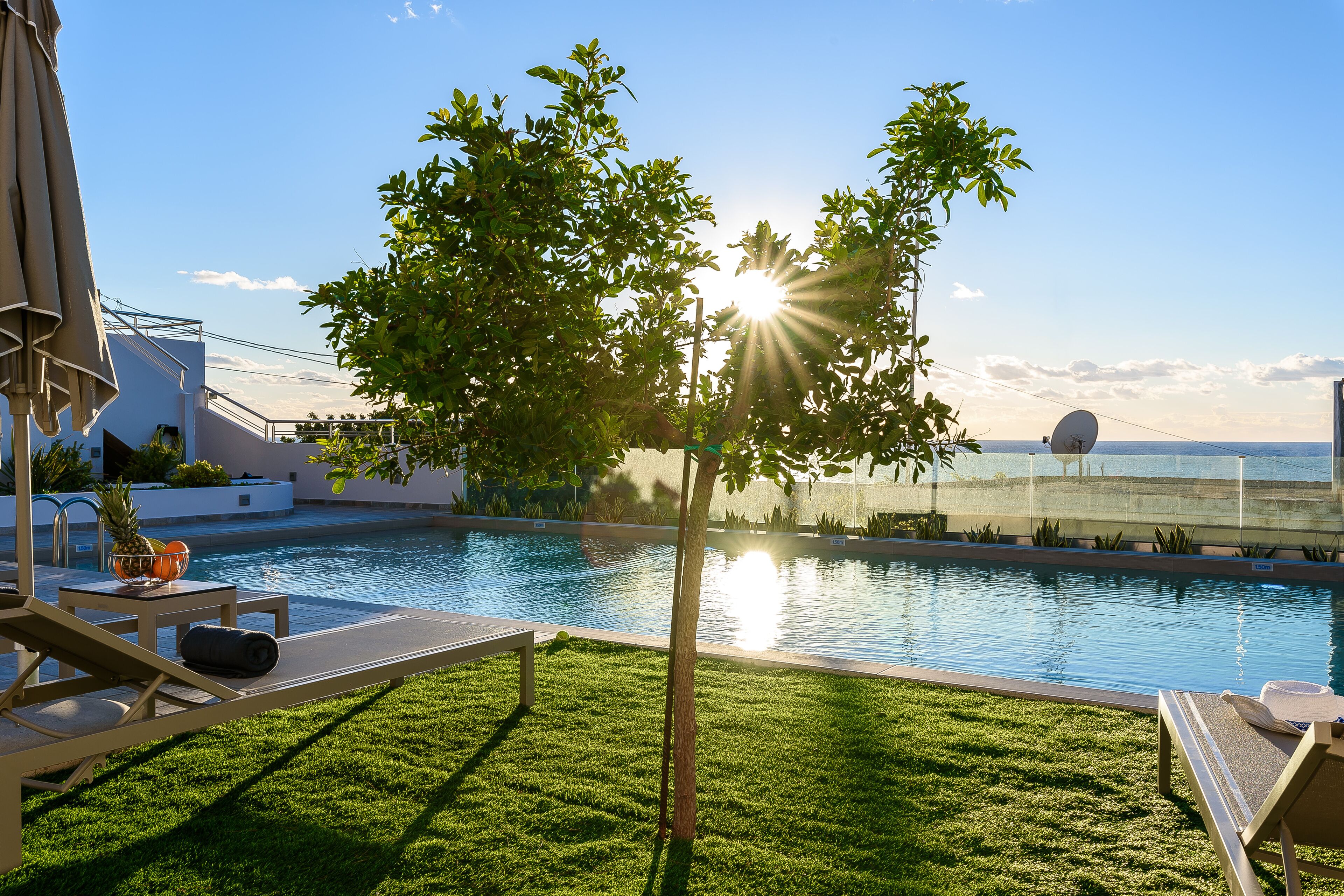 A swimming pool with lounge chairs and a tree in the foreground.