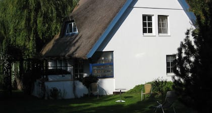 House Storm - Apartment 3