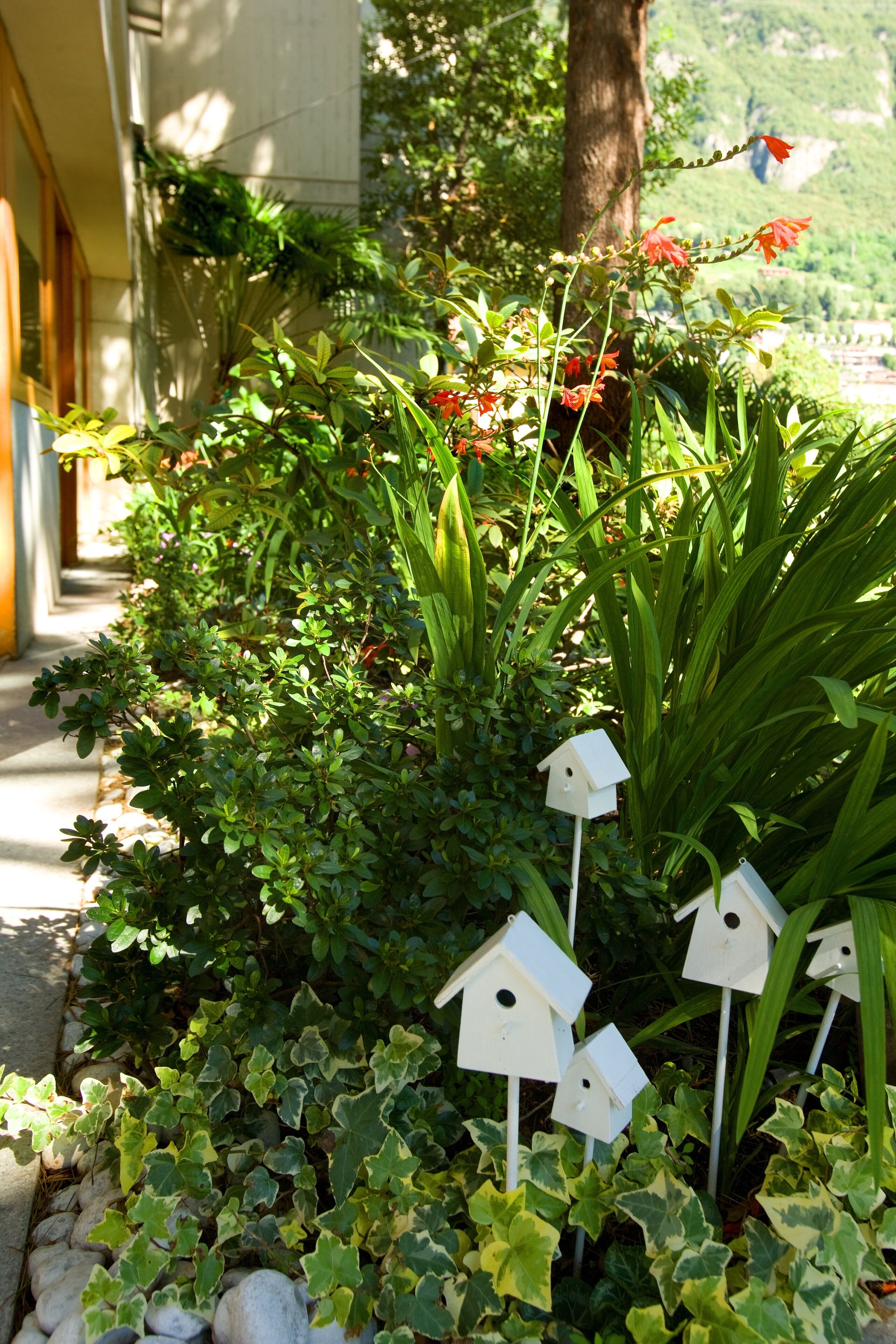 A garden with birdhouses and lush greenery.