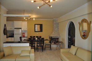 TV, fireplace, DVD player