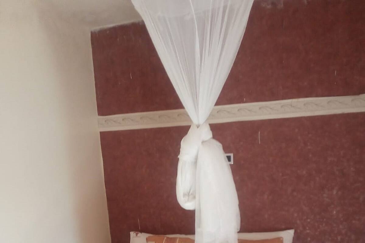 Una habitación de hotel con cama, mosquitero y dos almohadas estampadas.