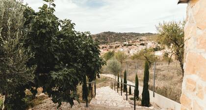 The Peralta Viewpoint