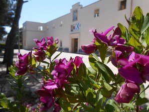 บริเวณภายนอก