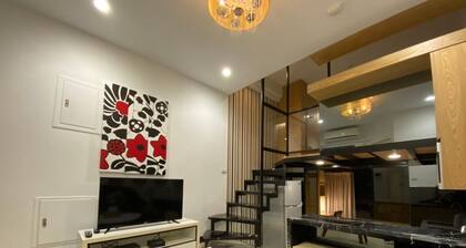 Ha Ha Cat Home Shipai