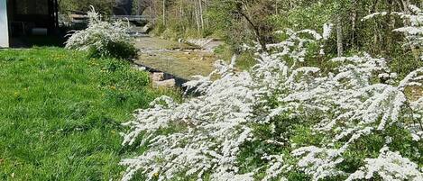 Jardines del alojamiento
