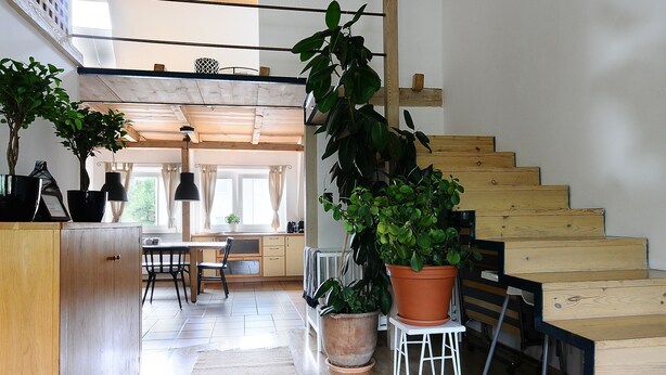 Ein geräumiges Zimmer mit Holzböden, einer Treppe und Topfpflanzen.