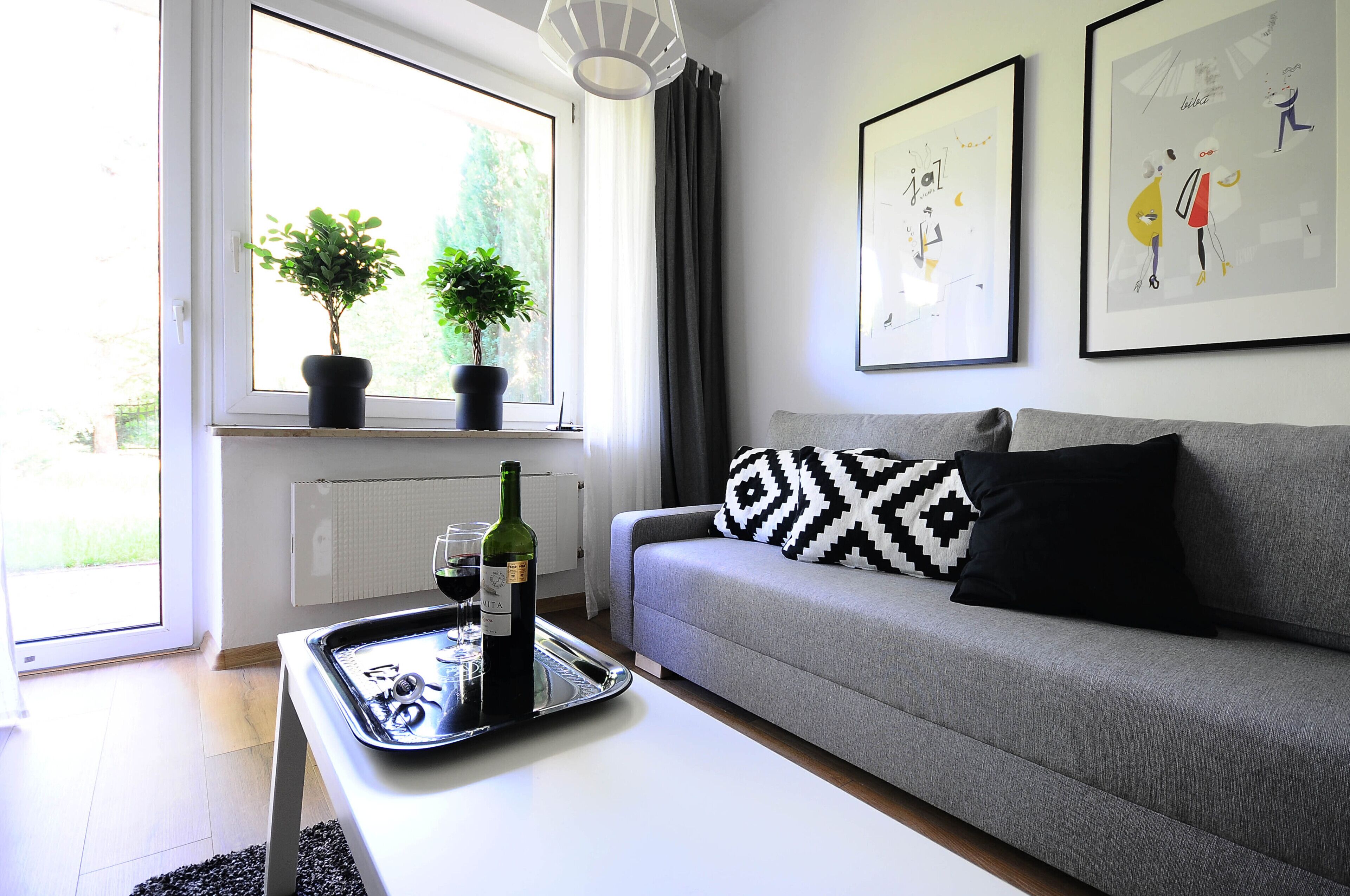 Un salon avec un canapé gris, un coussin à motifs noir et blanc, un plateau avec une bouteille et des verres, et deux plantes en pot sur le rebord de la fenêtre.