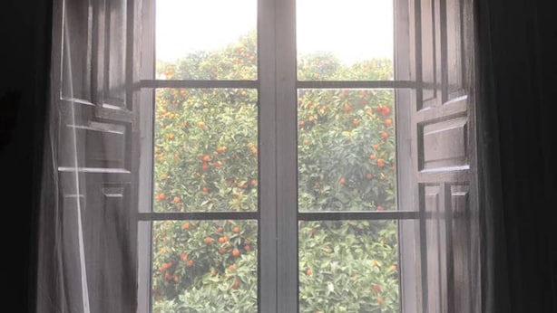 Una finestra con vista su un giardino di alberi d'arancio.