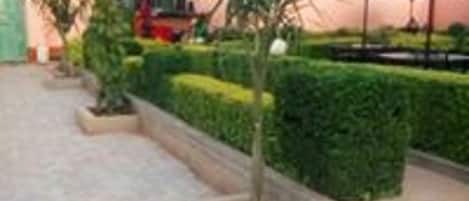 Jardin