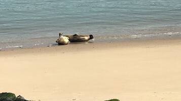Ubicación cercana a la playa