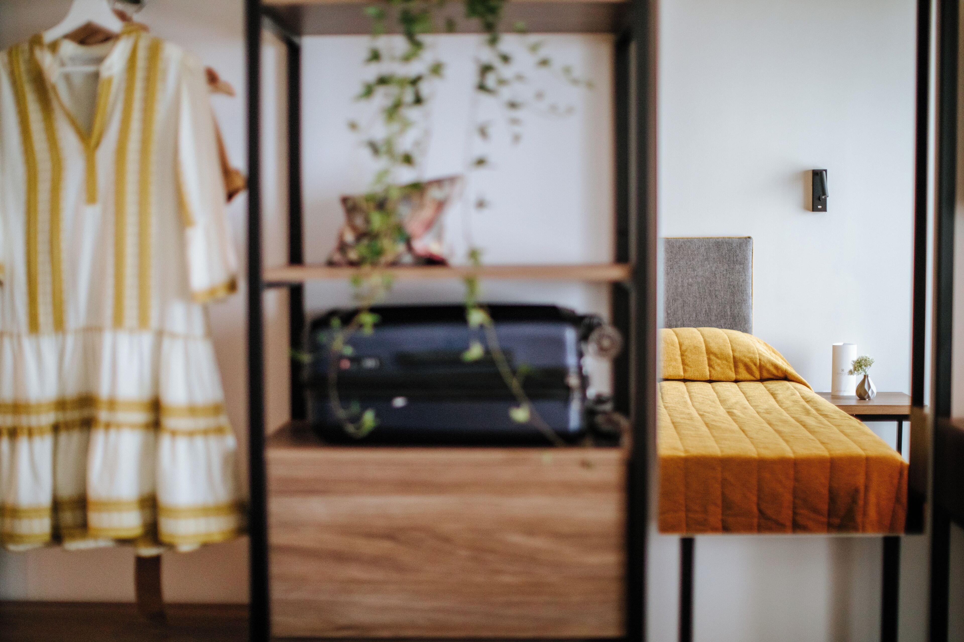 A bedroom with a bed, a hanging plant, a suitcase, and a dress on a hanger.