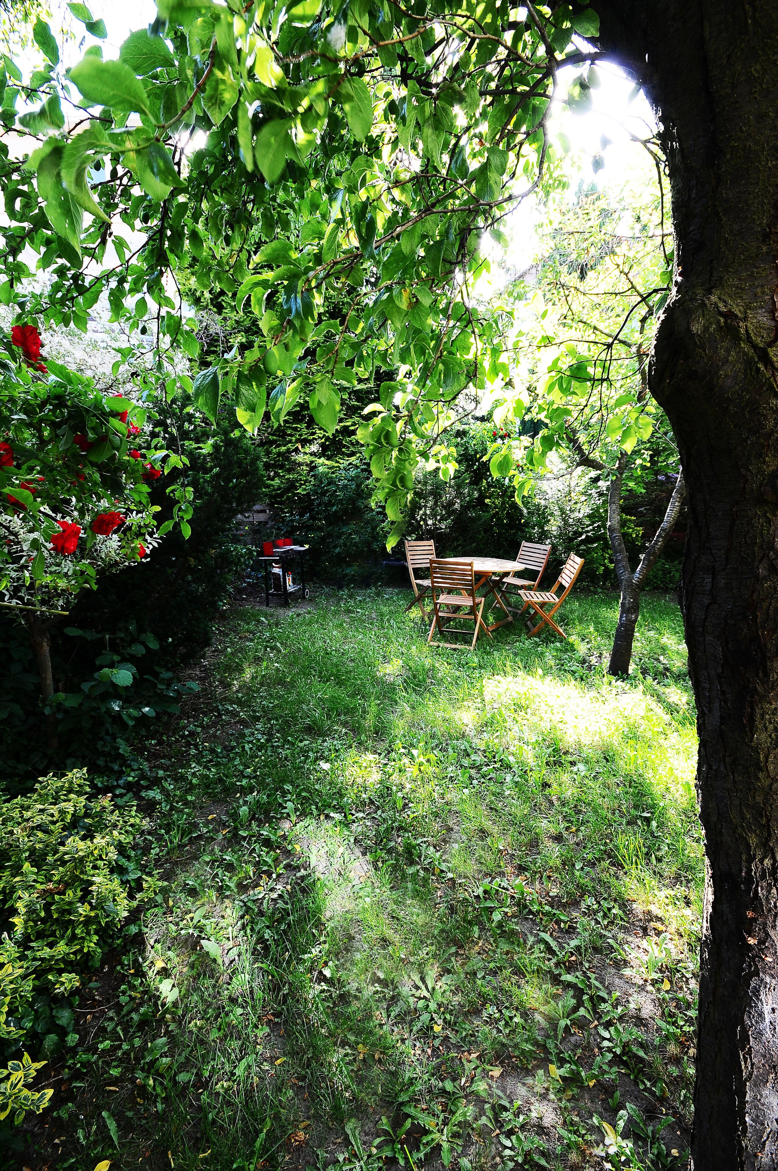 A garden with a wooden table and chairs, surrounded by lush greenery and trees.