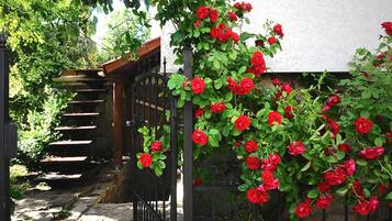 Studio (Basement) | Pemandangan taman