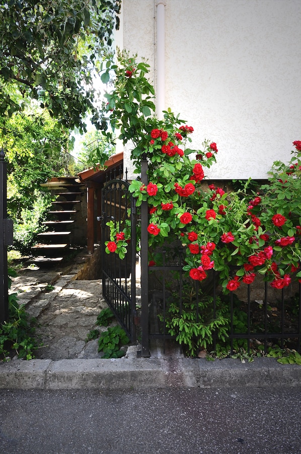 Studio (Basement) | Vue sur le jardin