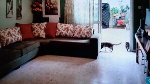 Un salon avec un canapé, un téléviseur et un chat sur le sol.