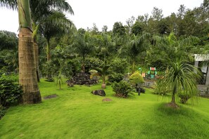 Property grounds - Jet Paark (Sulthan Bathery)
