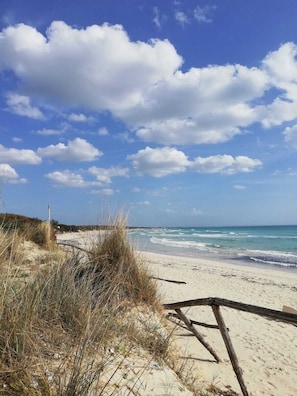 Playa privada en los alrededores y playa de arena blanca 