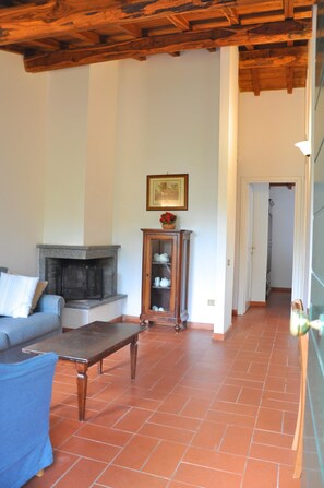 Una televisión, una chimenea