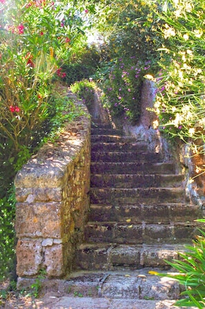 A stone staircase surrounded by greenery. - Montecasciano Girasole (Capranica)