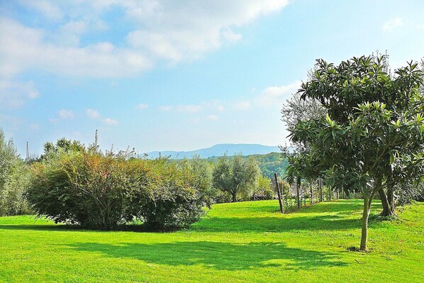 Un campo cubierto de hierba con árboles y un cielo despejado.