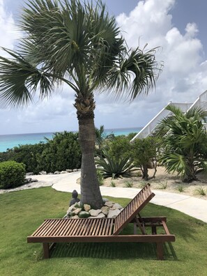 Property grounds - Little paradise Sandy Point Bahamas (Cockburn Town)