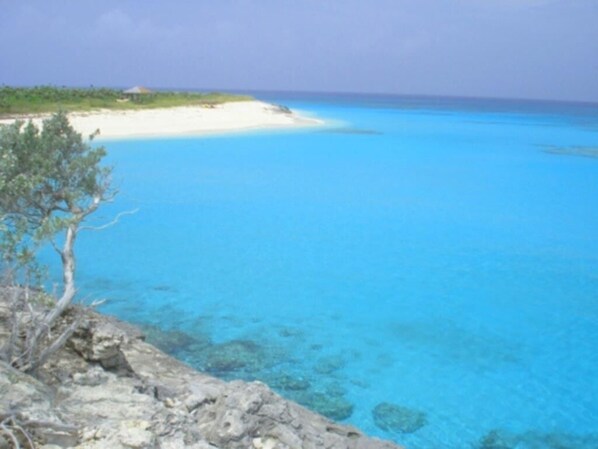 Beach - Little paradise Sandy Point Bahamas (Cockburn Town)