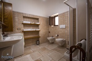 Shower, hair dryer, bidet, towels