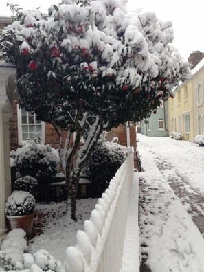 Garden - Beautiful 1BR in Historic St Aubin House (St. Brelade)