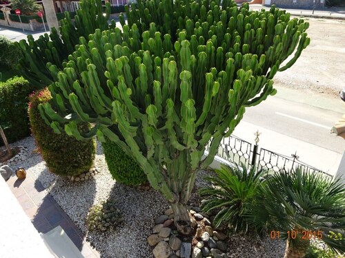 Freistehendes Ferienhaus  Strandnah, Pool, Tennis, WLAN 