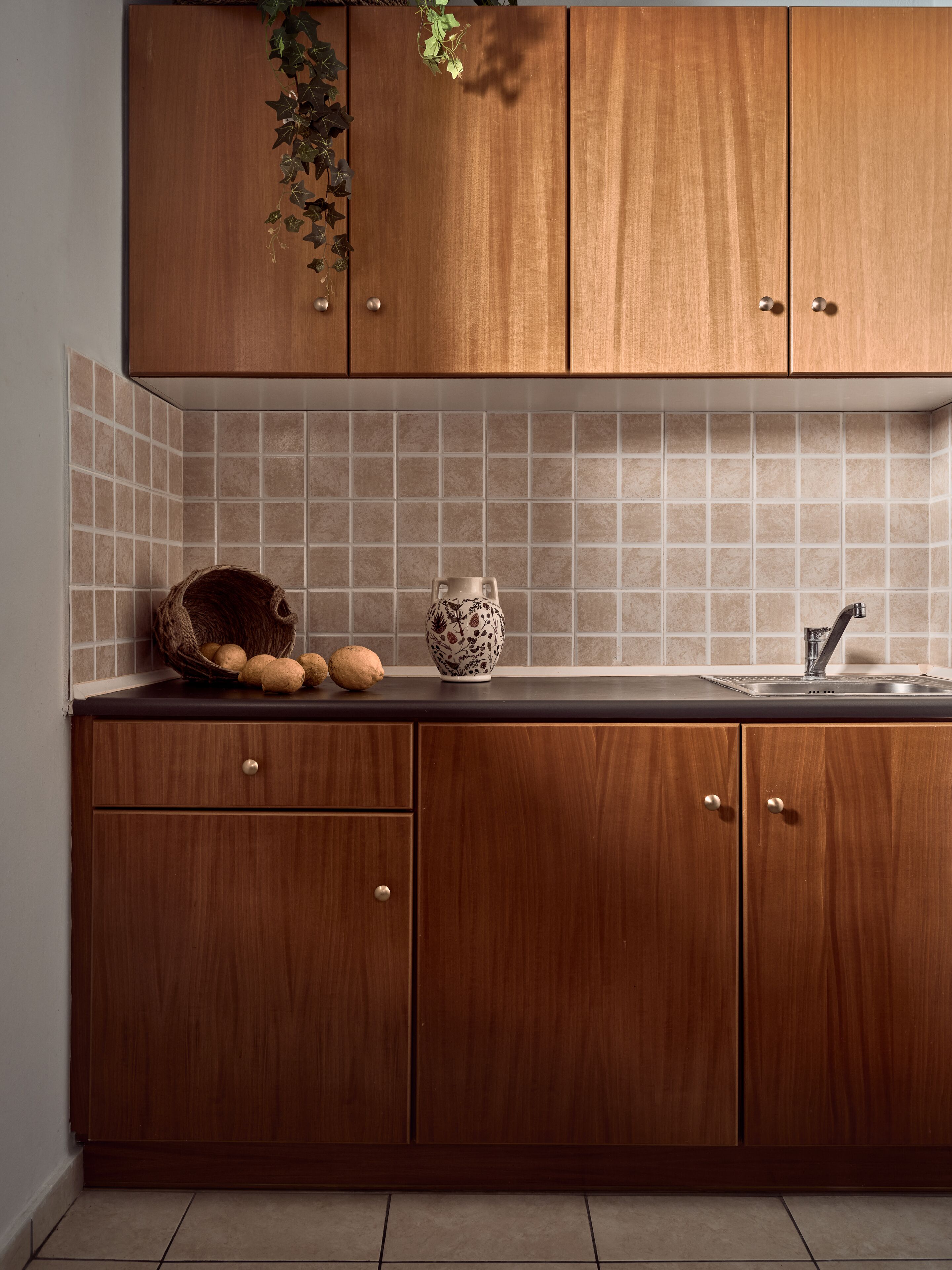 Une cuisine avec des meubles de rangement en bois, un pare-feu en carreaux, un évier et une plante décorative.