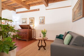 TV - Delightful apartment for 5 people with terrace and exposed beams (FIrenze)