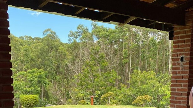 Un patio techado con vistas a un espacio verde y árboles.