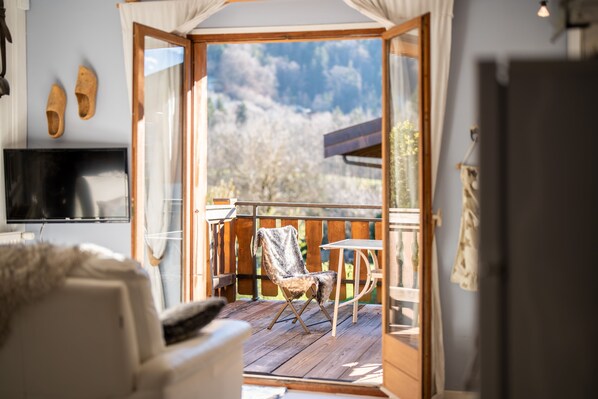 TV, books - Chalet Iris with jacuzzi in chalet in the heart of the Thônes Valley (THONES)