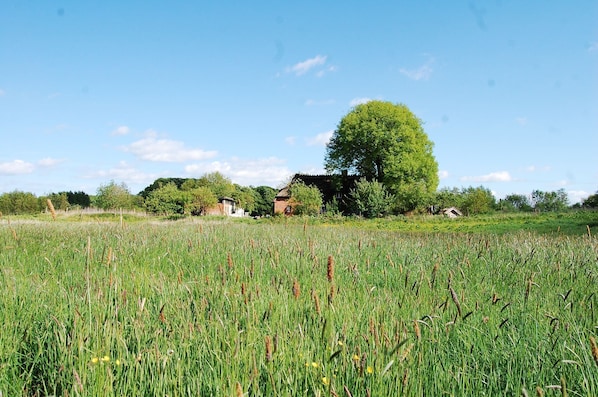 Un paysage rural avec un champ d’herbes hautes, un grand arbre et plusieurs petits bâtiments en arrière-plan.