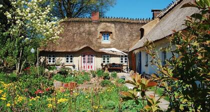 Idylle pur in Alleinlage unterm Reet am Waldesrand für bis zu 4 Personen