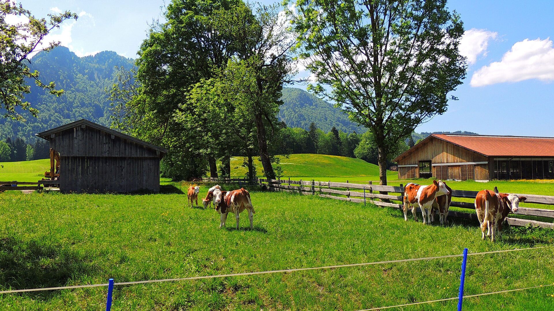 A rural landscape with barns, grazing cows, and a fenced area.